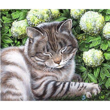 Схема вышивки «Серия "Коты".»