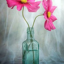 Схема вышивки «Натюрморт.»