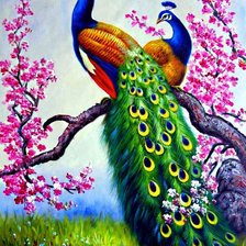 Схема вышивки «Павлины»