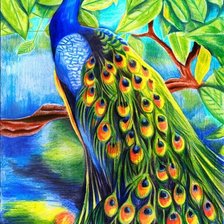 Схема вышивки «Павлин»