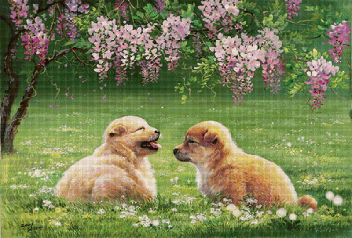 кутята - собаки - предпросмотр