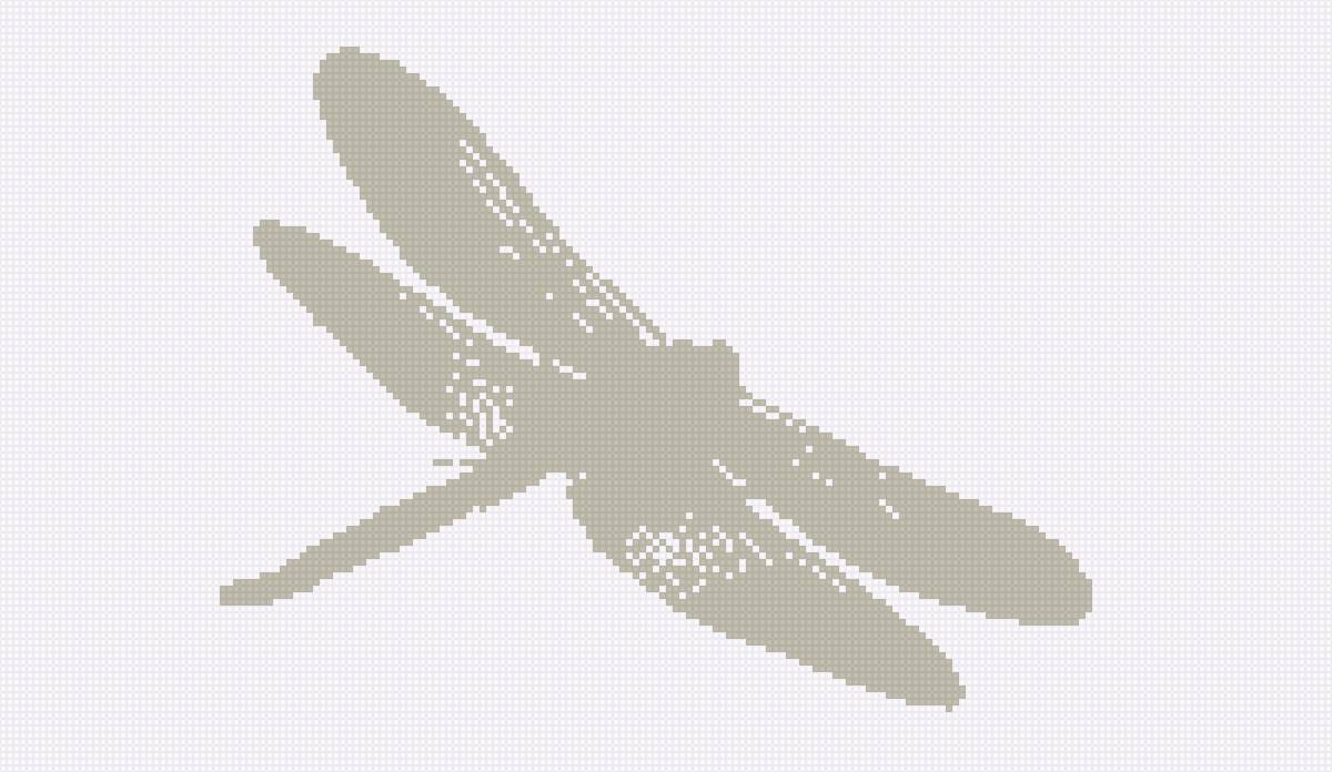 стрекоза - монохром, насекомое, стрекоза - предпросмотр