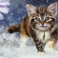 пушистый котенок