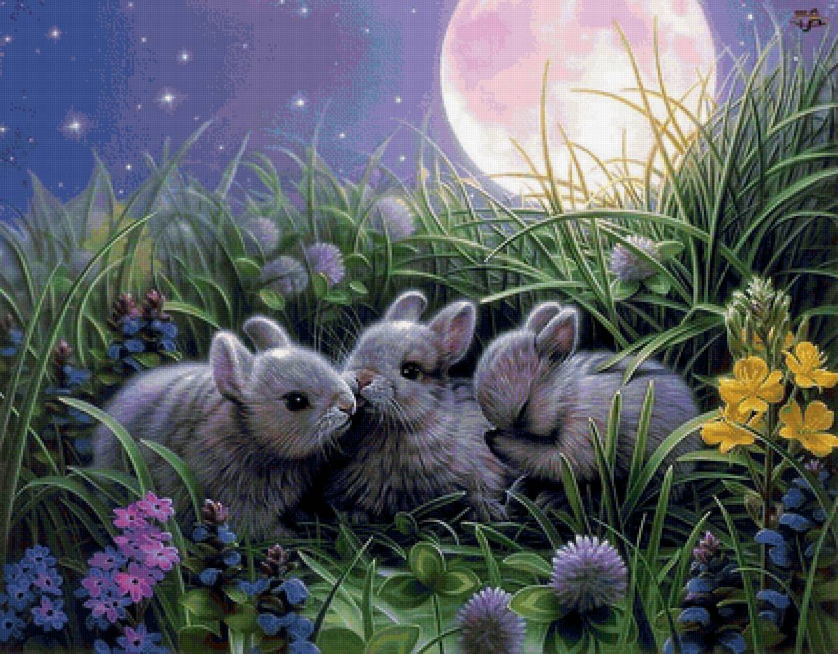 кролики - предпросмотр