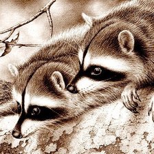 Схема вышивки «Любопытная парочка»