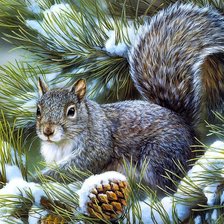 Схема вышивки «белочка красавица)»