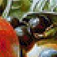 Предпросмотр схемы вышивки «Натюрморт.» (№1766665)