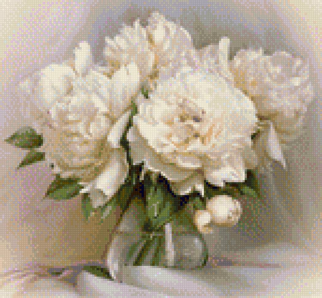 пионы - предпросмотр