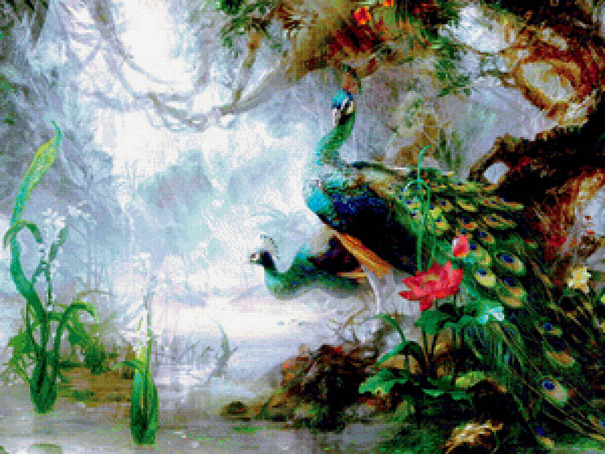 Павлины - джунгли, павлины, яркие - предпросмотр