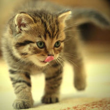 Схема вышивки «№1766728»