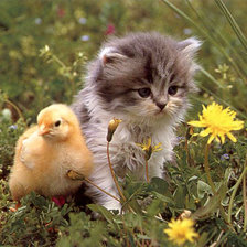 Схема вышивки «№1766730»