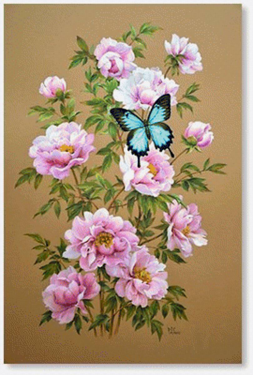 ružové kvety - предпросмотр