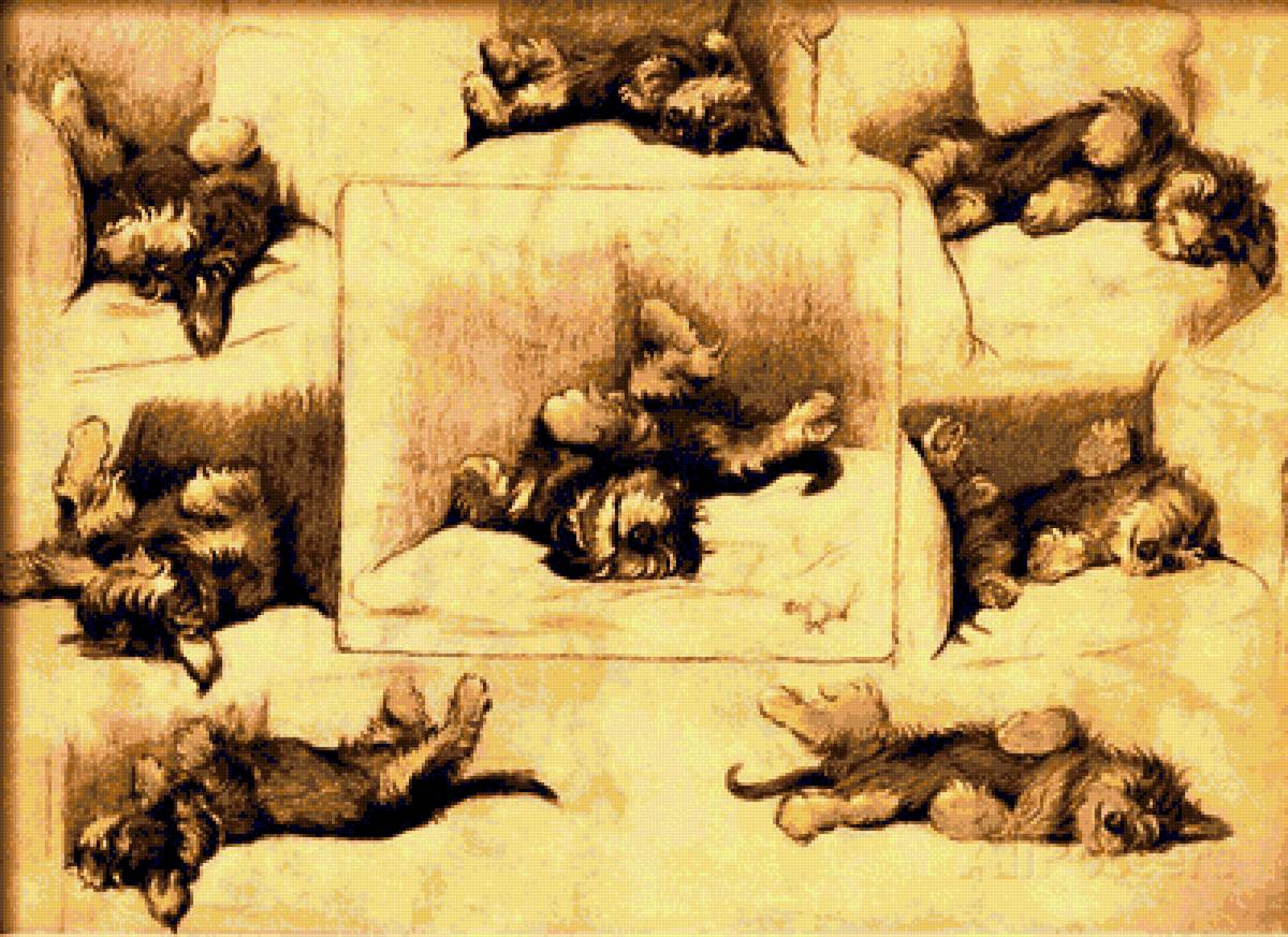 спящая собачка - сон, собачка - предпросмотр