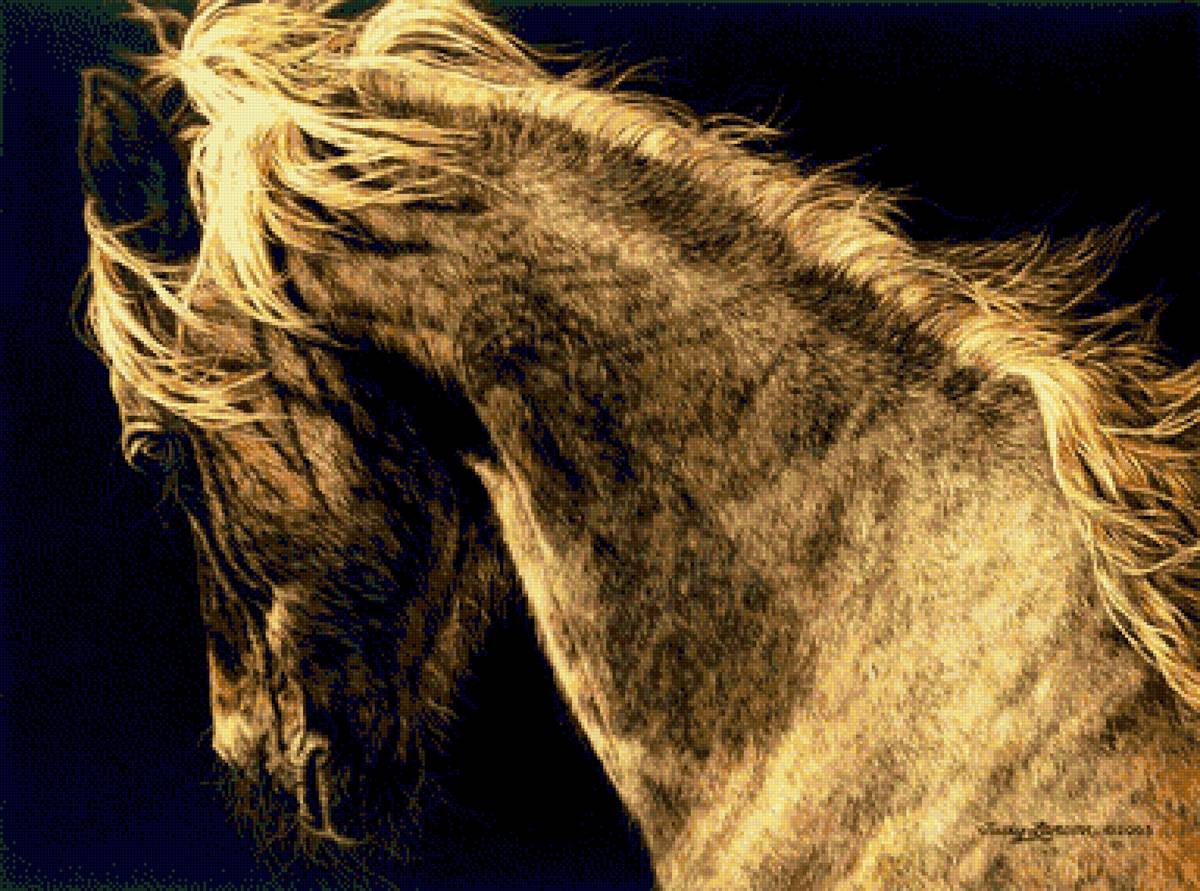 на свободе 3 - лошадь, свобода, конь - предпросмотр