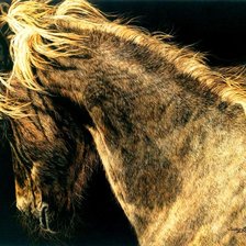 Схема вышивки «на свободе 3»