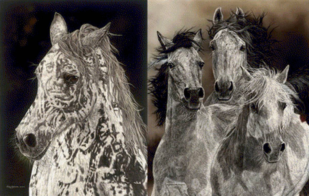 картина, Джуди Ларсон - предпросмотр