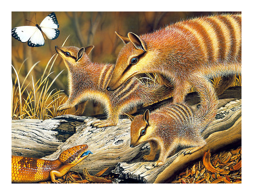 Серия "Животные" - фауна, животные - оригинал