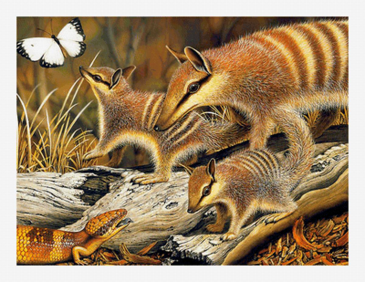 Серия "Животные" - фауна, животные - предпросмотр