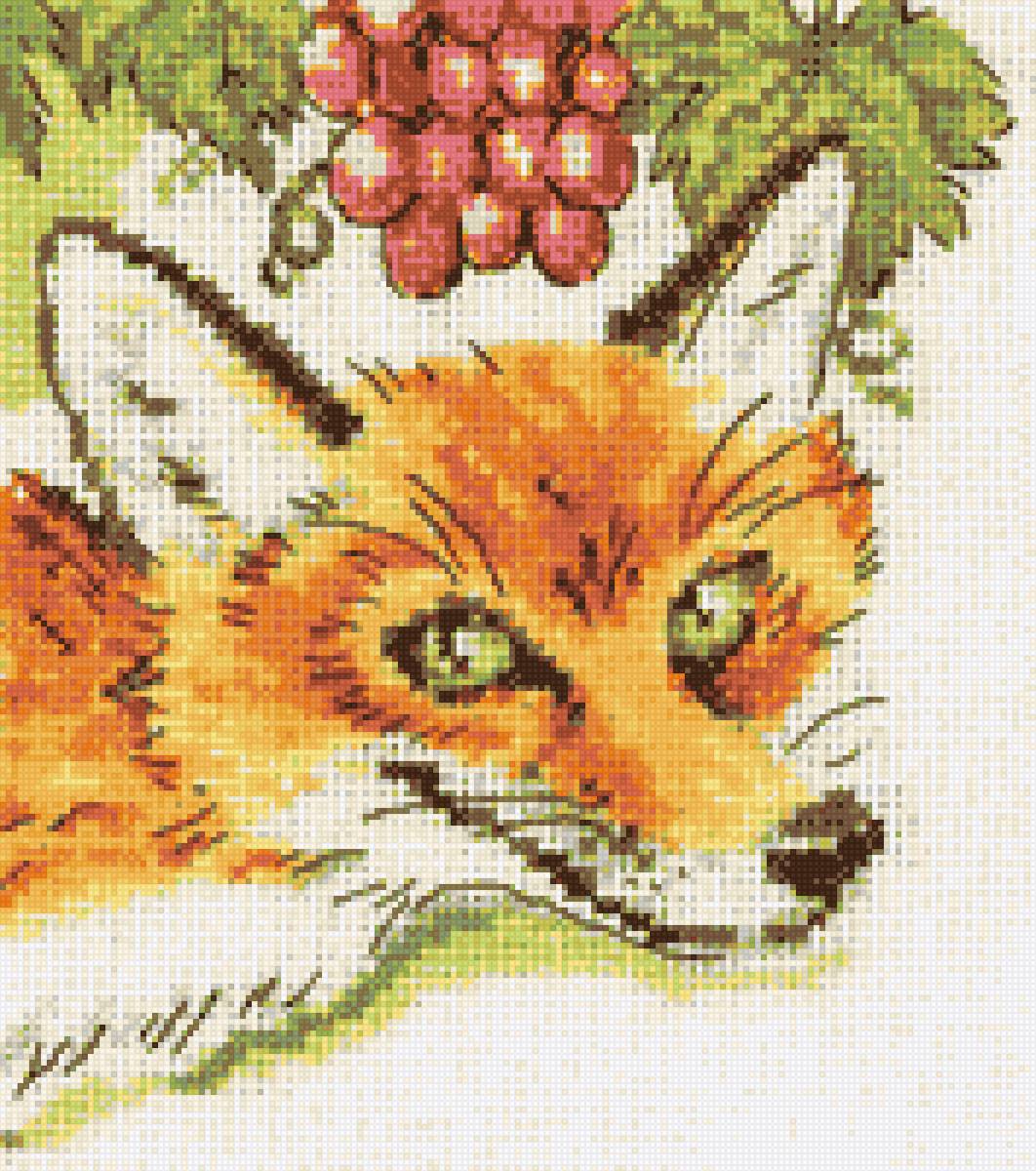 лис - предпросмотр