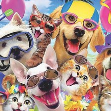 Схема вышивки «селфи»