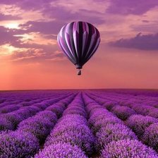 Воздушный шар