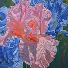 Схема вышивки «Ирисы»