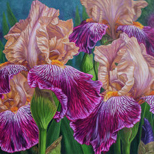 Схема вышивки «Ирисы»