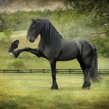 Схема вышивки «№1768221»