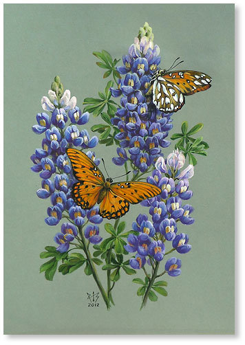 Люпин - цветы, люпин - оригинал