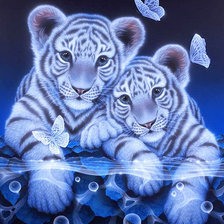 Схема вышивки «Тигрики»