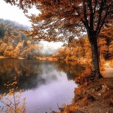 Схема вышивки «priroda1»