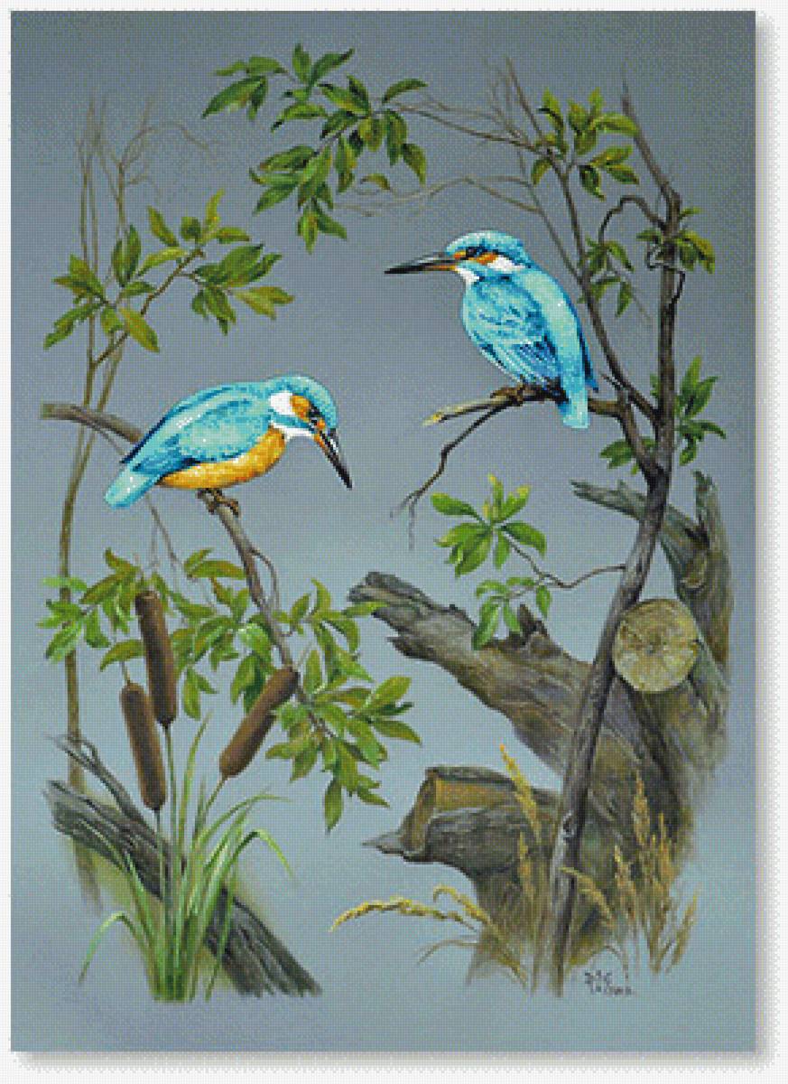 obraz - предпросмотр