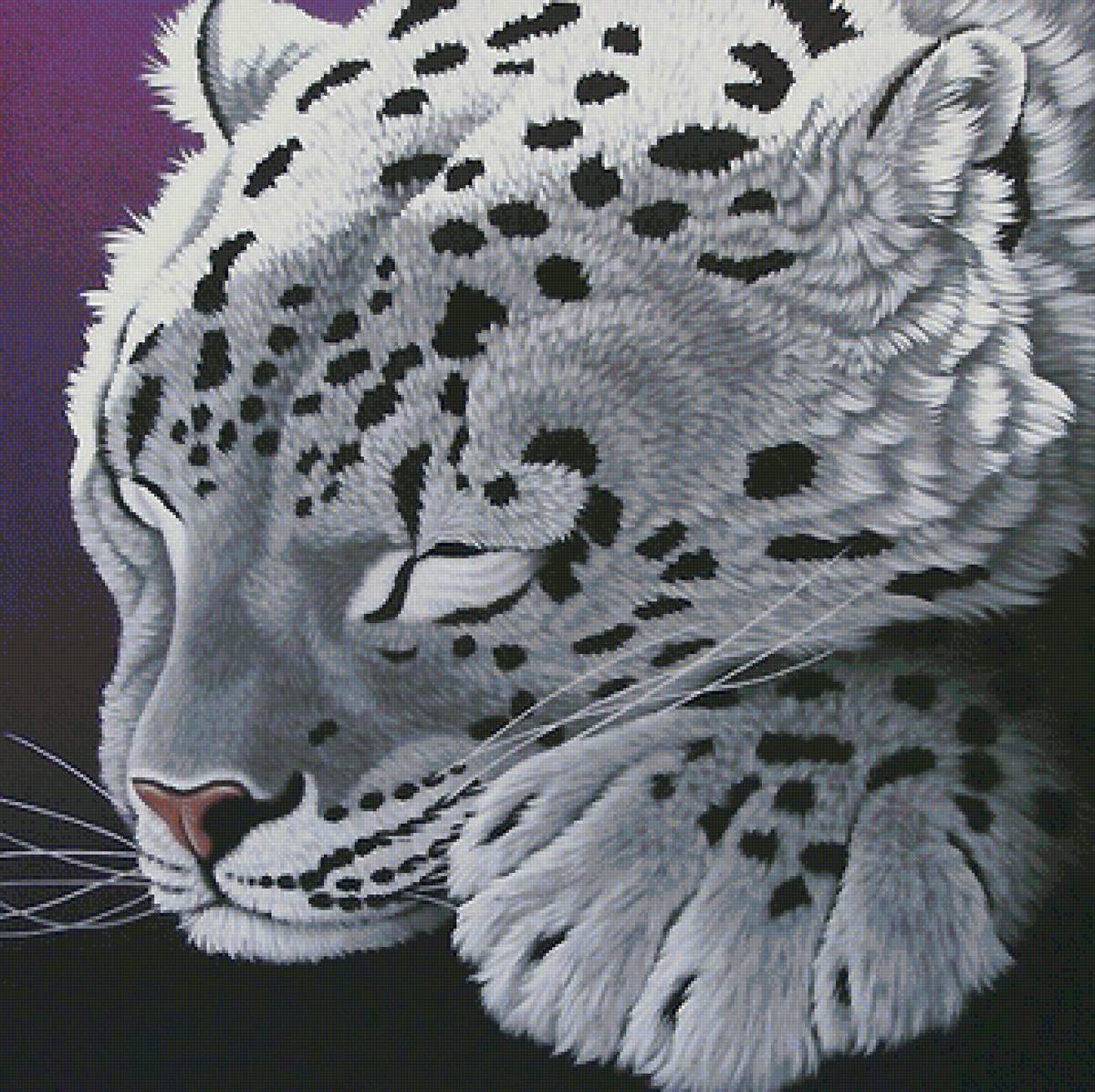 мир животных - мир животных - предпросмотр