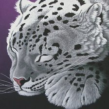 Схема вышивки «мир животных»