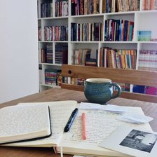 Схема вышивки «книжный шкаф»