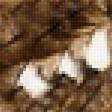 Предпросмотр схемы вышивки «сова» (№1769119)