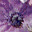 Предпросмотр схемы вышивки «kvety» (№1769835)