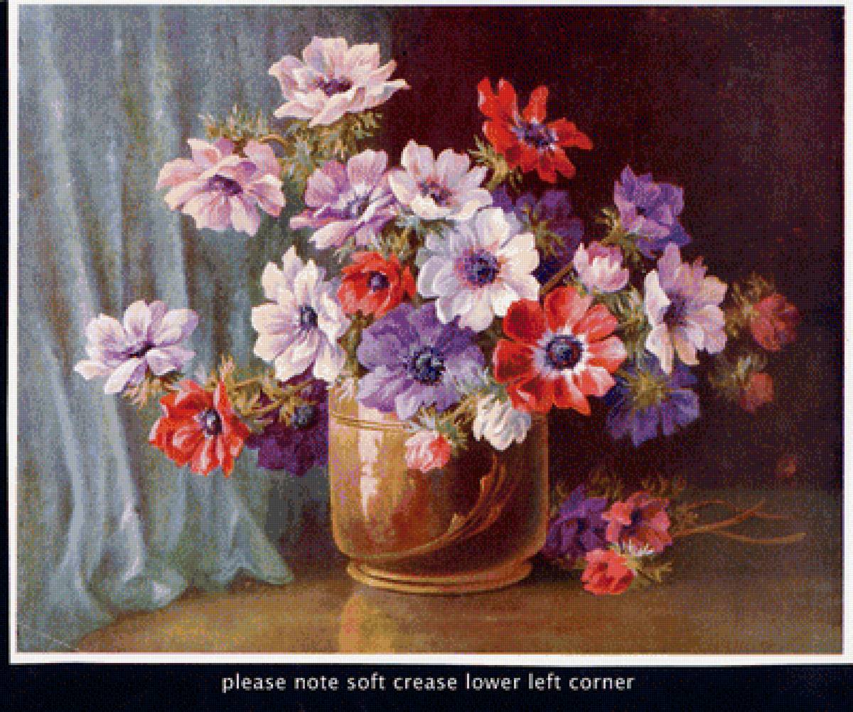 kvety - предпросмотр