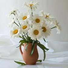 Схема вышивки «РОМАШКИ»