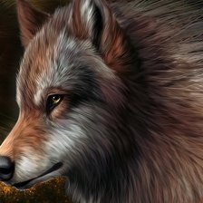 Схема вышивки «№1771349»