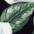 Предпросмотр схемы вышивки «Магнолия» (№1771616)