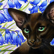 Схема вышивки «mačka,kvet»