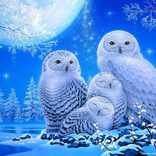 Схема вышивки «мир животных»