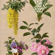 Схема вышивки «Цветы 2»