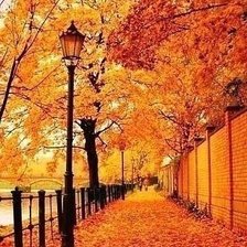 Схема вышивки «№1772892»