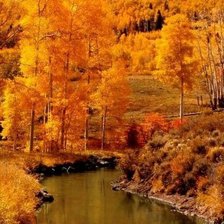 Схема вышивки «№1772894»