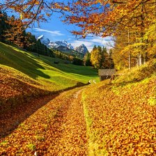 Схема вышивки «№1772895»