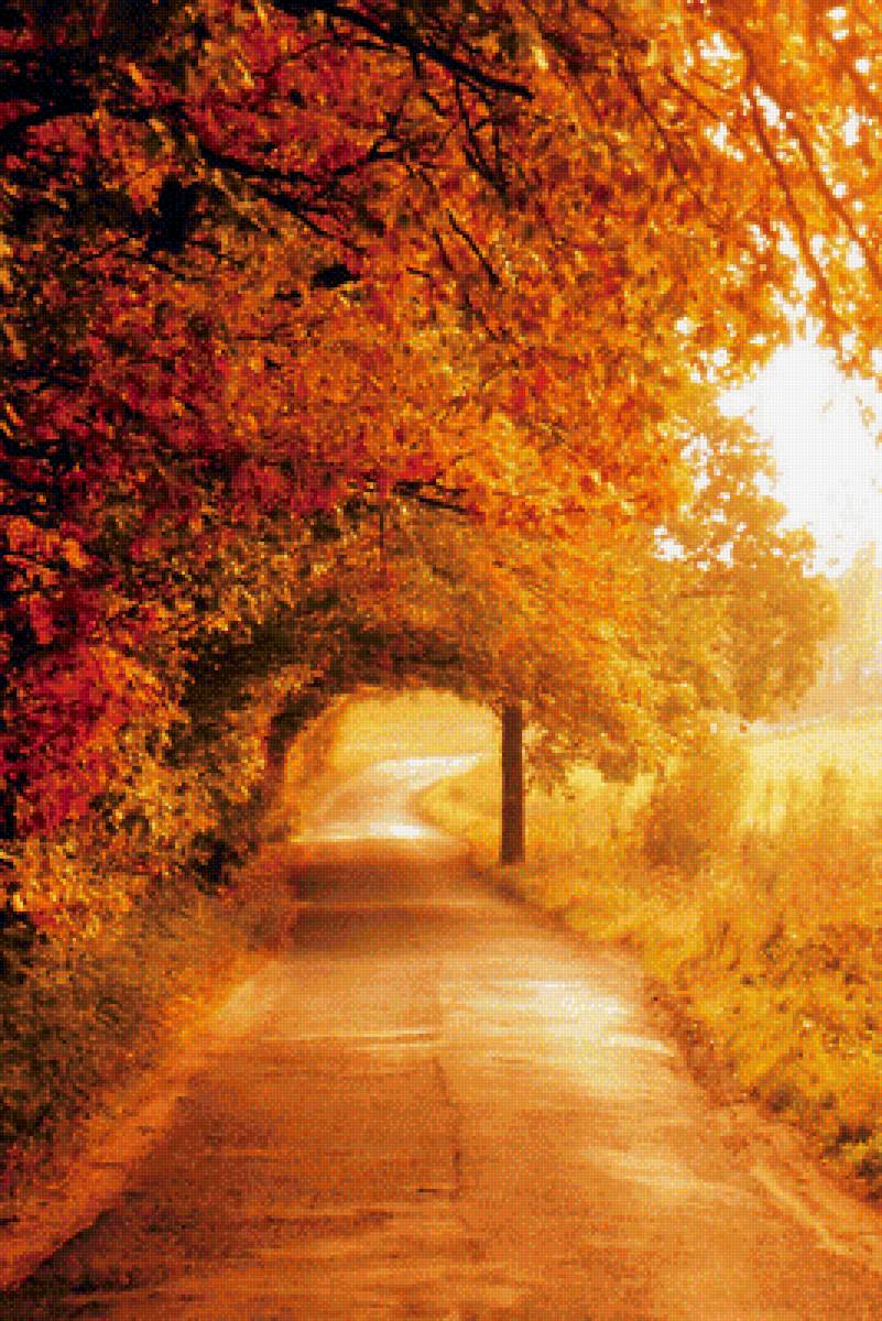 №1772896 - пейзаж, осень, времена года - предпросмотр