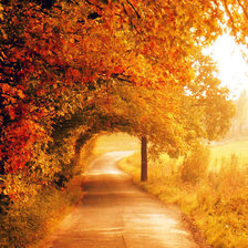 Схема вышивки «№1772896»