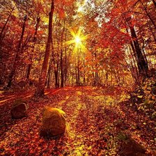 Схема вышивки «№1772897»